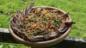 Welsh lamb in hay with tabbouleh salad
